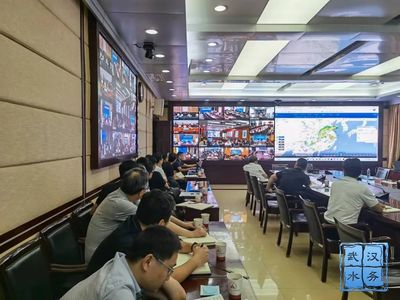 智慧水脉润江城 武汉市人民政府门户网站智能水务系统开发探析